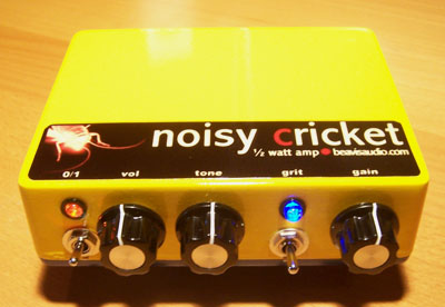 Cricket amp store